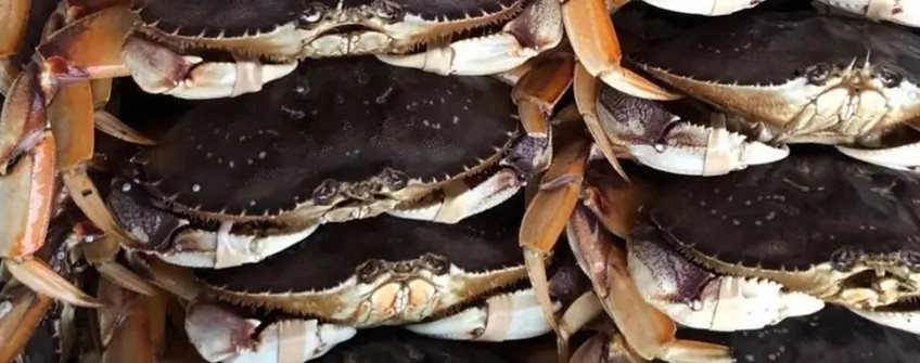 水产进口：海鲜进口从香港中转内地若何清关？