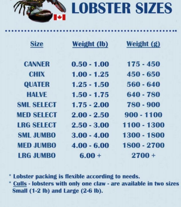 PP电子游戏(试玩)官方网站-APP下载