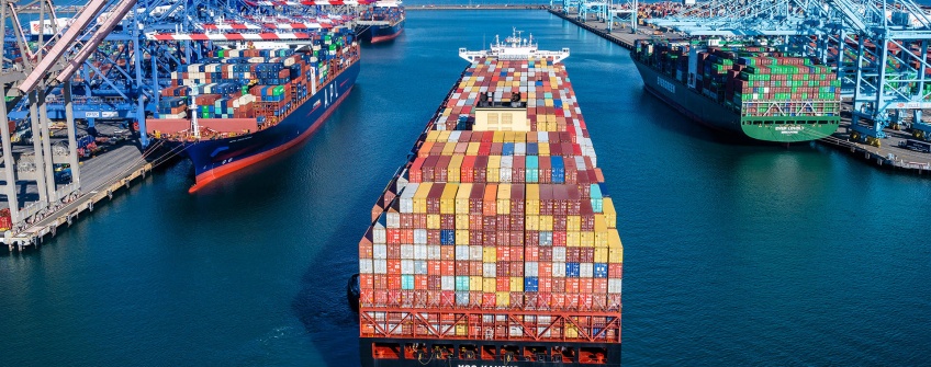 高效物流护航年味传递：从湾区花圃到澳门街头的“抢鲜”通关