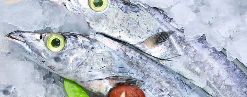 冻带鱼进口报关当苦衷项？