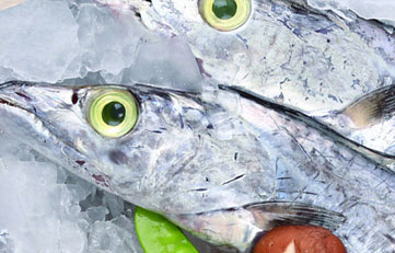 冻带鱼进口报关当苦衷项？