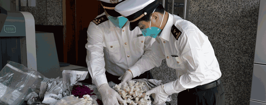 若何分辨香港进口报关和香港进口清关