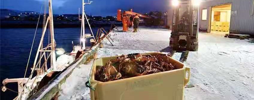 国表活海鲜进口广州能够清关吗？