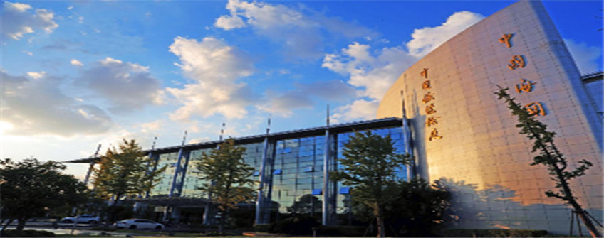 货物进口报关中低报价值违规吗？pp电子游戏报关行助您解惑