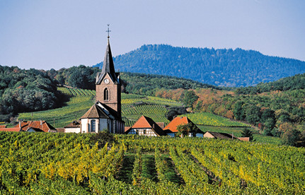 葡萄酒进口报关：法国红酒进口报关身分有哪些？