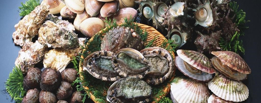 海鲜怎么进口报关？有哪些当苦衷项？